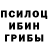 Псилоцибиновые грибы мухоморы Lana_Rain