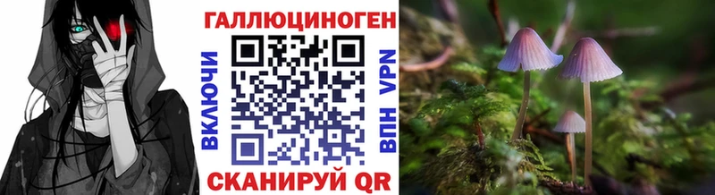 Галлюциногенные грибы Psilocybine cubensis  Нариманов 